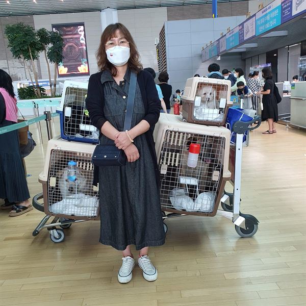 极速168赛车官方网站图片